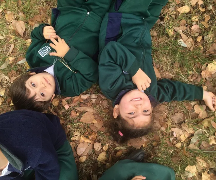 Nivel 1 y medio a 2 años